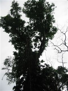 Iguassu 2006 14
