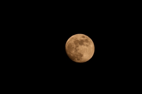 Mondaufnahmen April 08 8