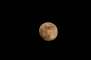 Mondaufnahmen April 08 5
